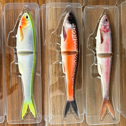 3D Printing Color Soft Bait 22cm Two-Part Fishing Lure with Dual Hooks