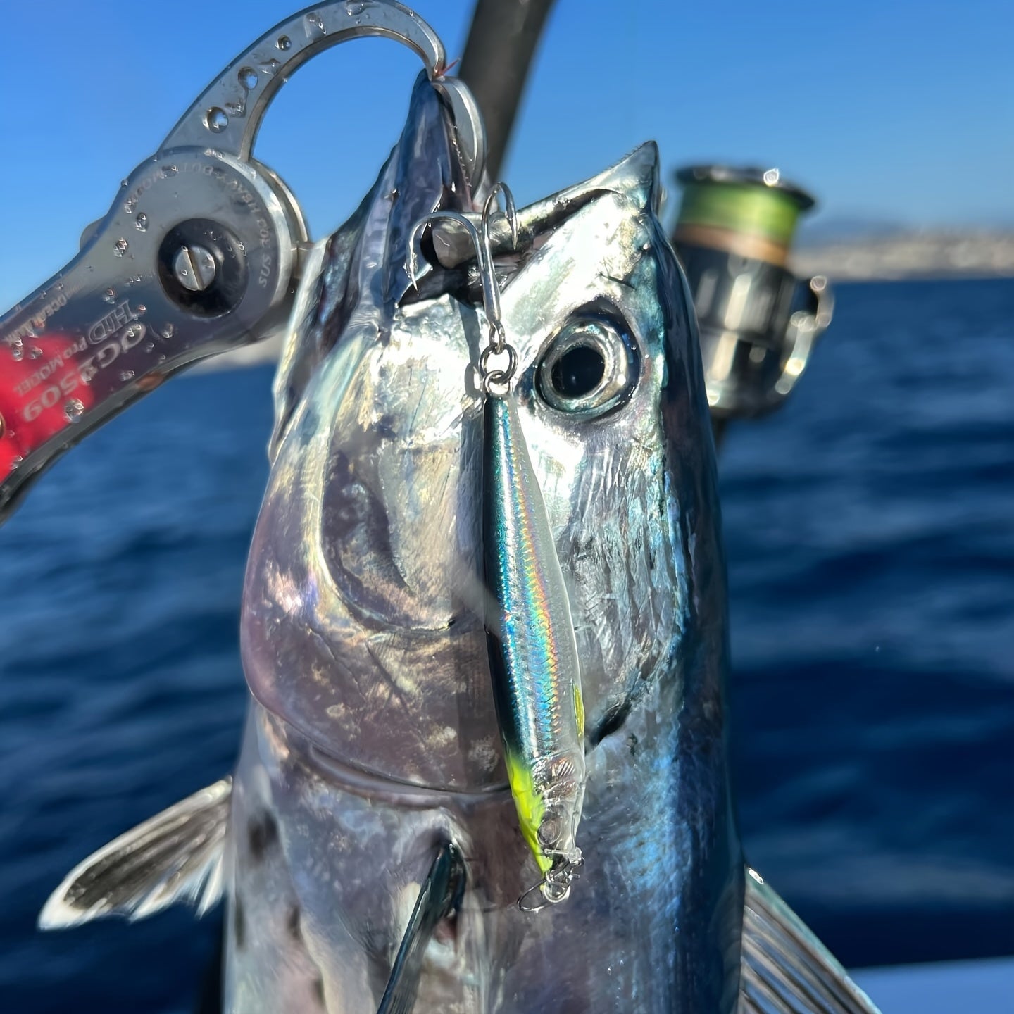 3D Printed Fast Sinking LUREGO 1pc Metal Jig Lure - 40g 60g 80g Saltwater Shore Casting Fishing Lure - Vertical Metal Jig