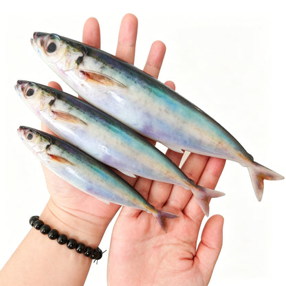 LUREGO 3D Print Sardine Swimbait 15–25cm – Soft Mackerel Lure for Tuna & Bass