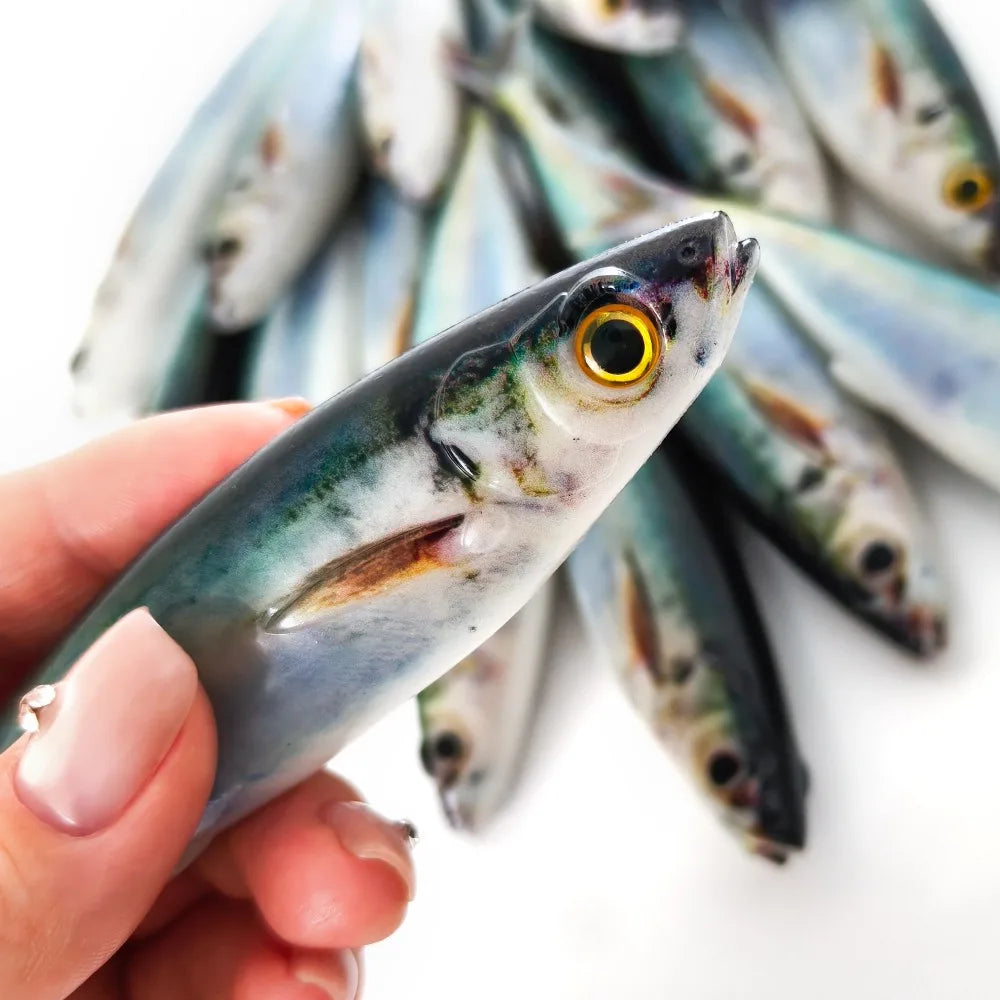 2/3PCS 3D Printed Sardine /Mackerel Lure 15cm, Soft Plastic Bait with Realistic Swimming Action