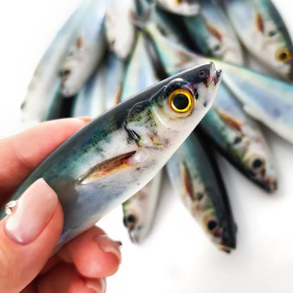 2/3PCS 3D Printed Sardine /Mackerel Lure 15cm, Soft Plastic Bait with Realistic Swimming Action