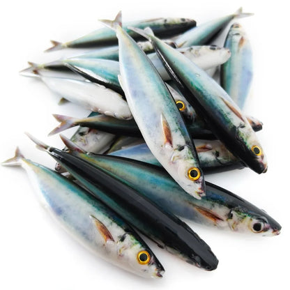 2/3PCS 3D Printed Sardine /Mackerel Lure 15cm, Soft Plastic Bait with Realistic Swimming Action