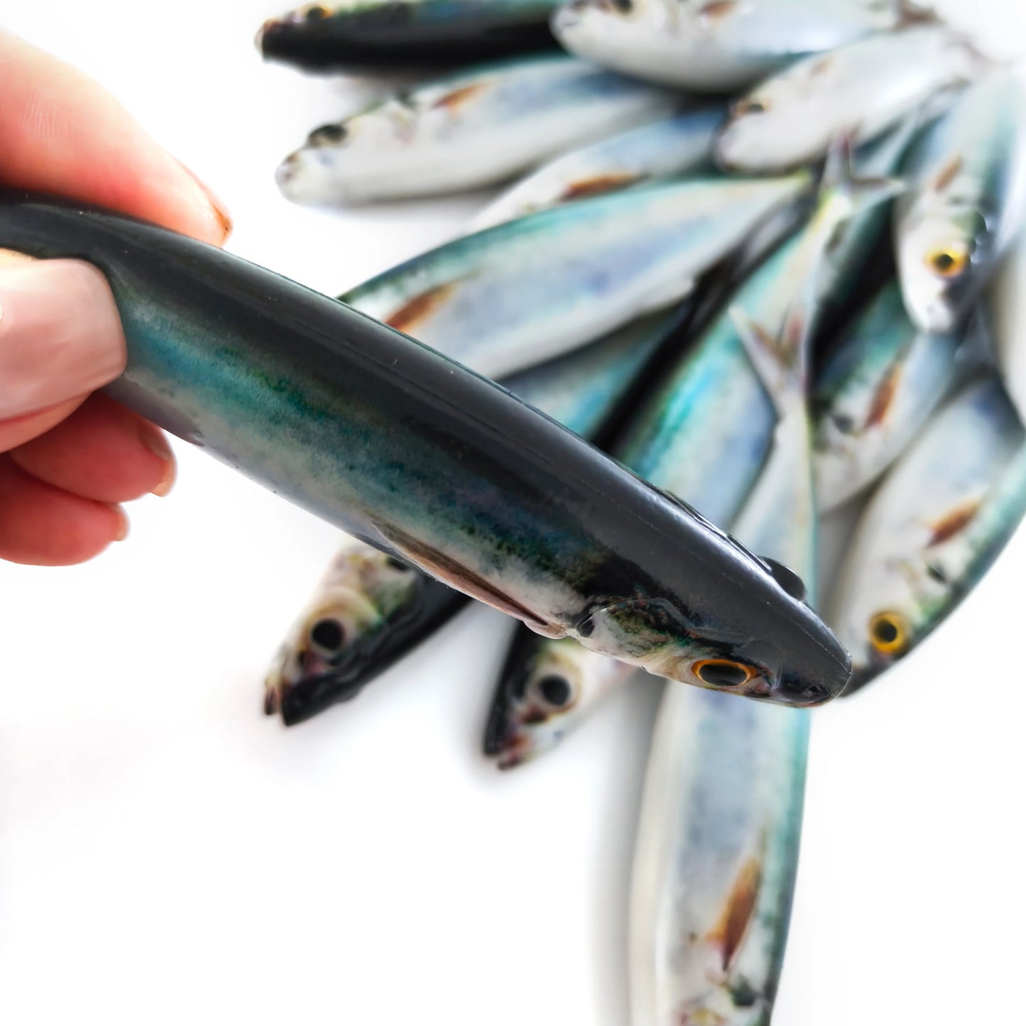2/3PCS 3D Printed Sardine /Mackerel Lure 15cm, Soft Plastic Bait with Realistic Swimming Action