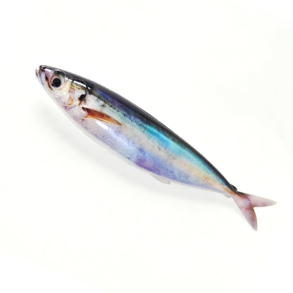 LUREGO 3D Print Sardine Swimbait 15–25cm – Soft Mackerel Lure for Tuna & Bass