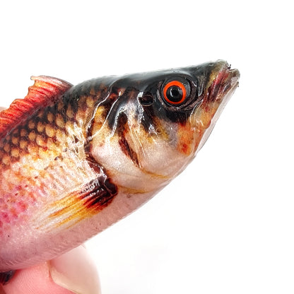 4PCS 3D Printed T-Tail Soft Bait with Realistic Scales, 9cm Slow-Sinking Swimbait